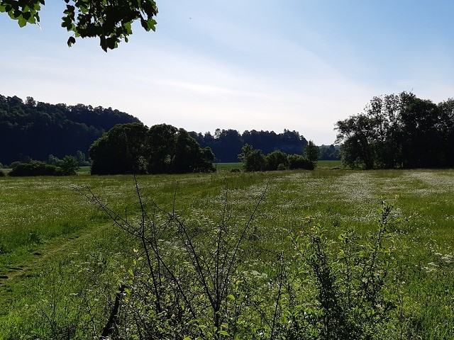 Im Frühling 2020 (2)